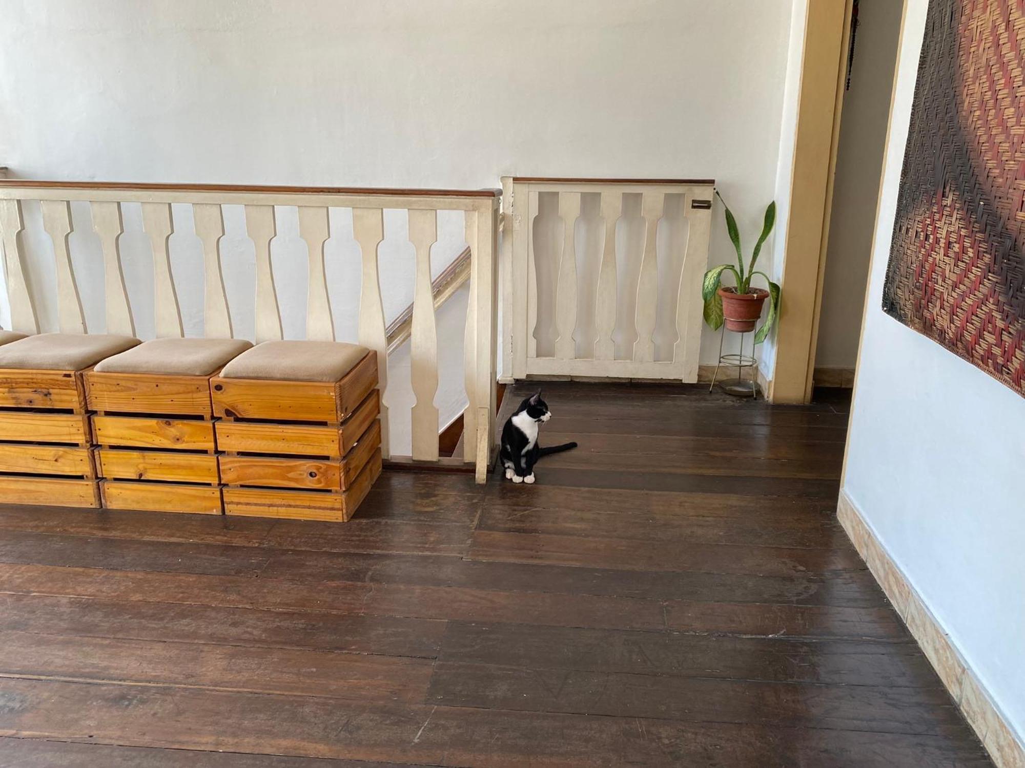 Aldeia Hostel Манаус Экстерьер фото